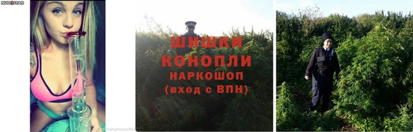 apvp Горняк