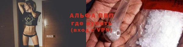 apvp Горняк