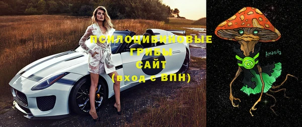 альфа пвп Горно-Алтайск