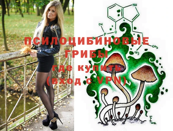 альфа пвп Горно-Алтайск