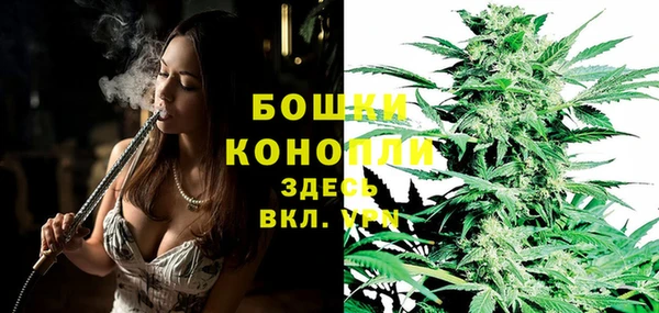 apvp Горняк