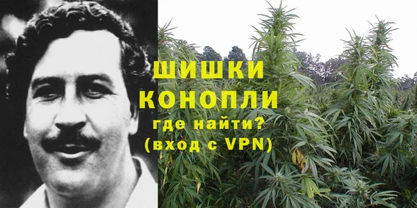 альфа пвп Горно-Алтайск