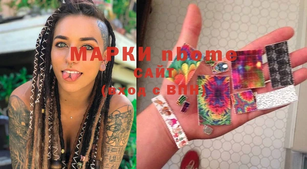 apvp Горняк