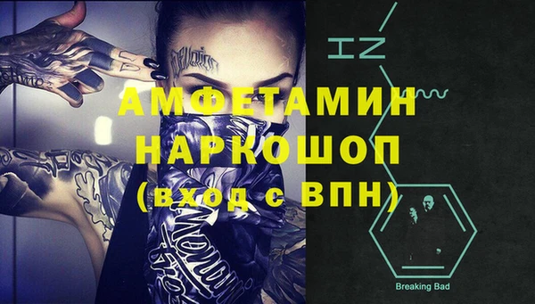 apvp Горняк