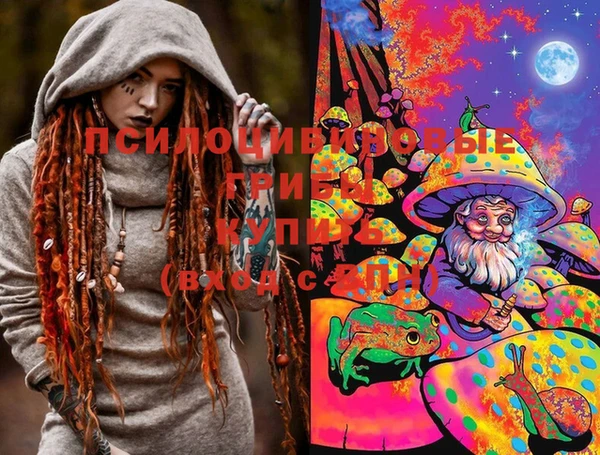 apvp Горняк